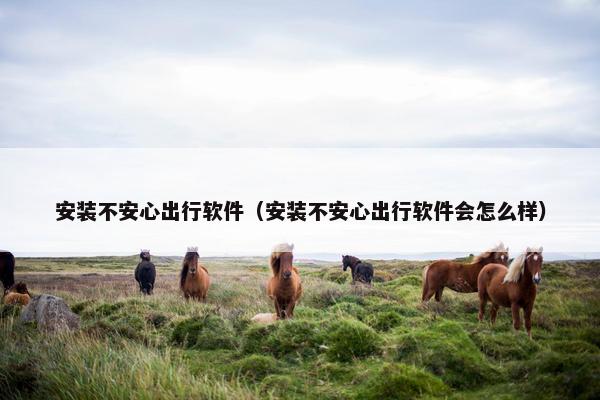 安装不安心出行软件（安装不安心出行软件会怎么样）