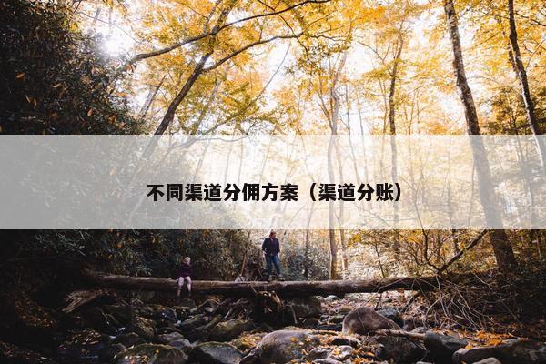不同渠道分佣方案（渠道分账）