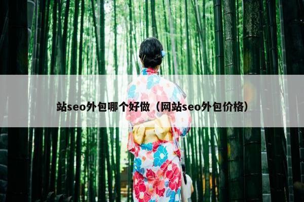 站seo外包哪个好做（网站seo外包价格）