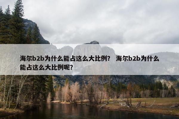 海尔b2b为什么能占这么大比例？ 海尔b2b为什么能占这么大比例呢？