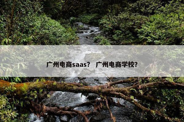 广州电商saas？ 广州电商学校？