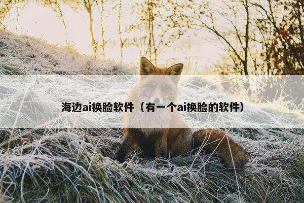 海边ai换脸软件（有一个ai换脸的软件）