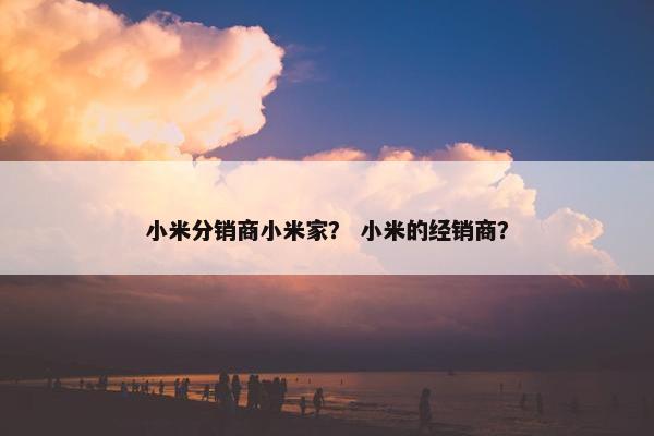 小米分销商小米家？ 小米的经销商？
