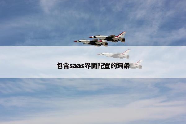 包含saas界面配置的词条