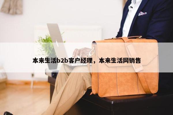 本来生活b2b客户经理，本来生活网销售