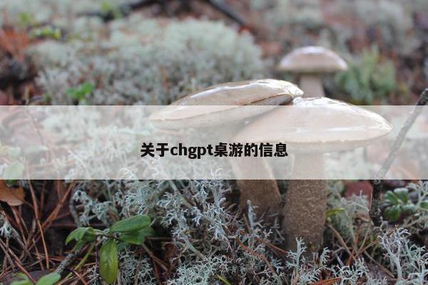 关于chgpt桌游的信息