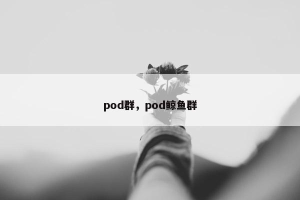 pod群，pod鲸鱼群