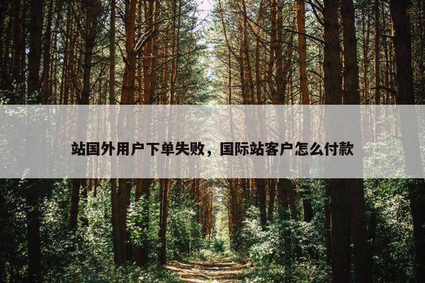 站国外用户下单失败，国际站客户怎么付款