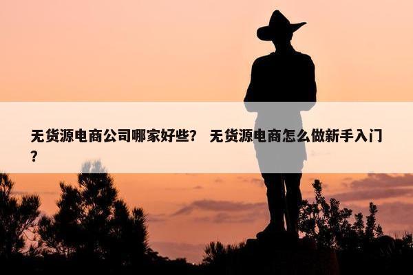 无货源电商公司哪家好些？ 无货源电商怎么做新手入门？