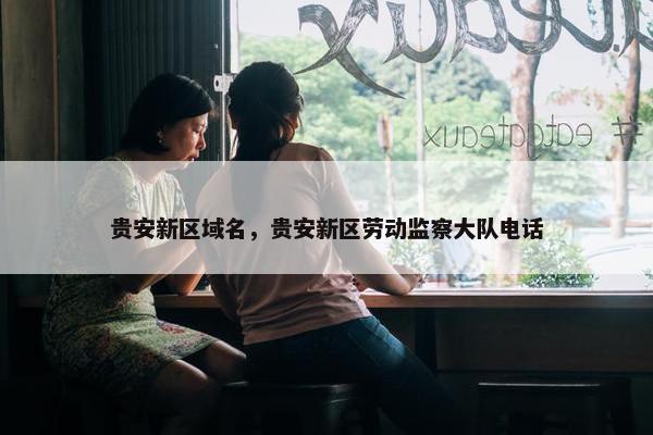 贵安新区域名，贵安新区劳动监察大队电话