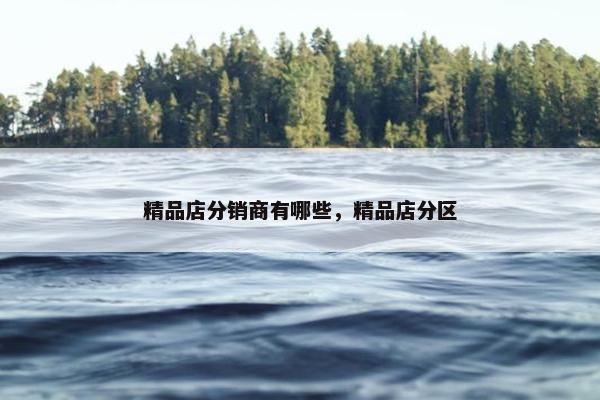 精品店分销商有哪些，精品店分区