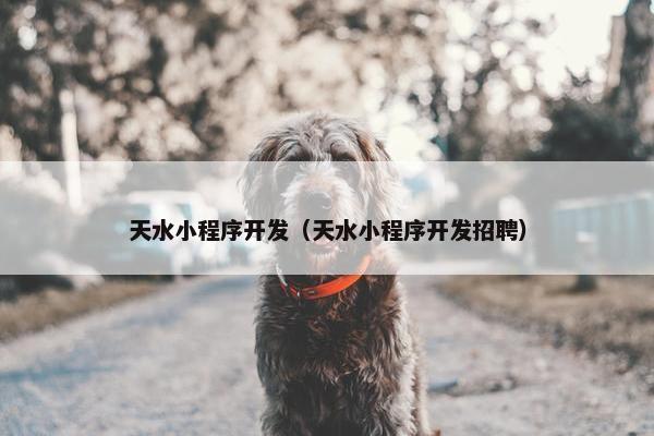 天水小程序开发（天水小程序开发招聘）