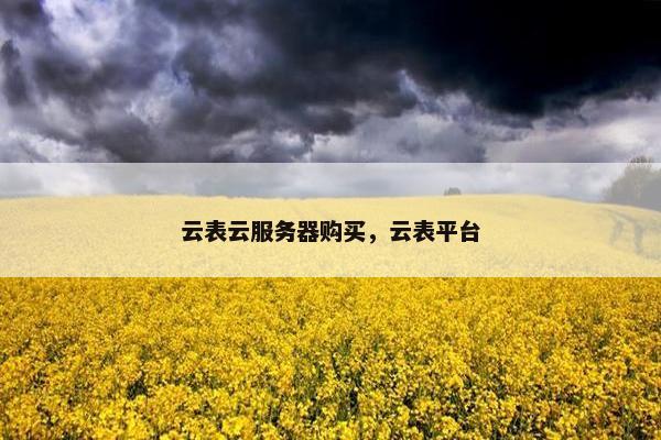 云表云服务器购买，云表平台