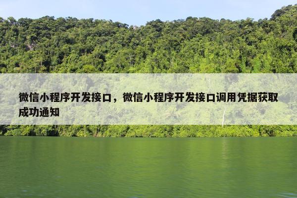 微信小程序开发接口，微信小程序开发接口调用凭据获取成功通知