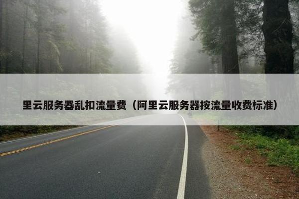 里云服务器乱扣流量费（阿里云服务器按流量收费标准）