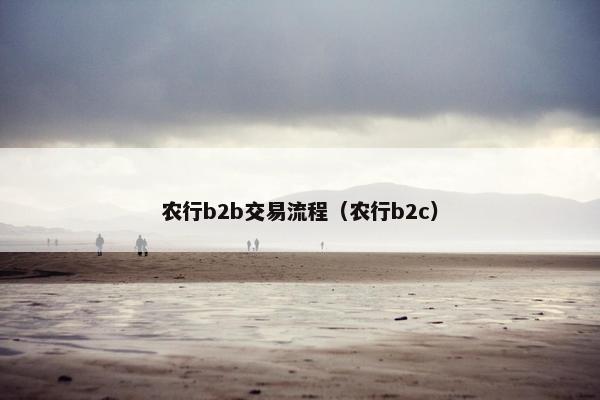 农行b2b交易流程（农行b2c）