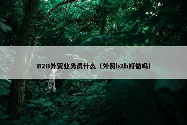 B2B外贸业务员什么（外贸b2b好做吗）