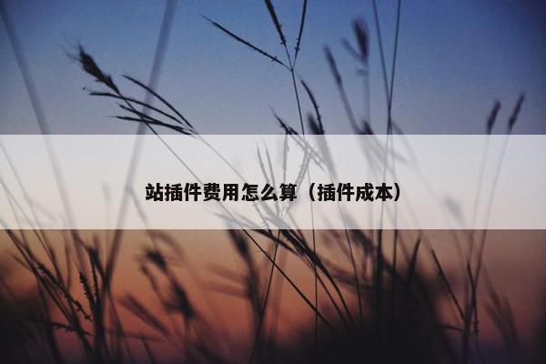 站插件费用怎么算（插件成本）
