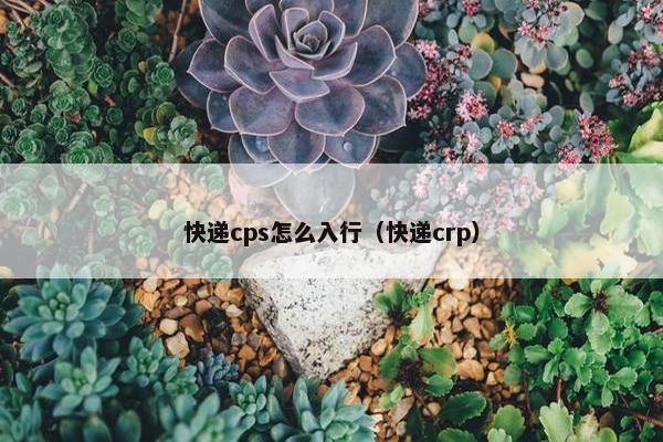 快递cps怎么入行（快递crp）
