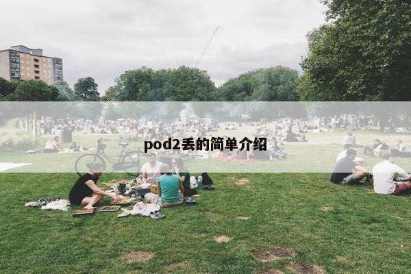 pod2丢的简单介绍