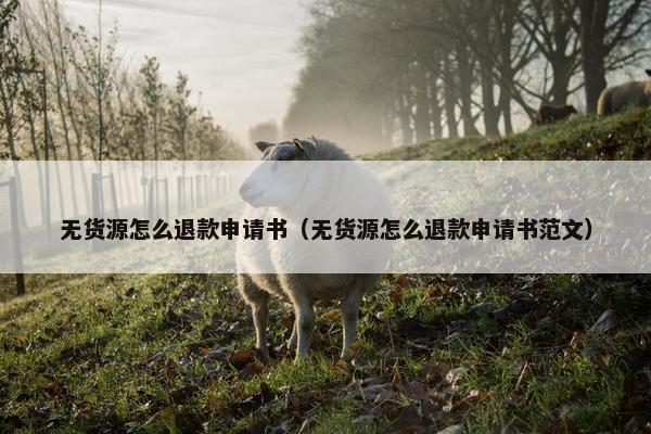 无货源怎么退款申请书（无货源怎么退款申请书范文）