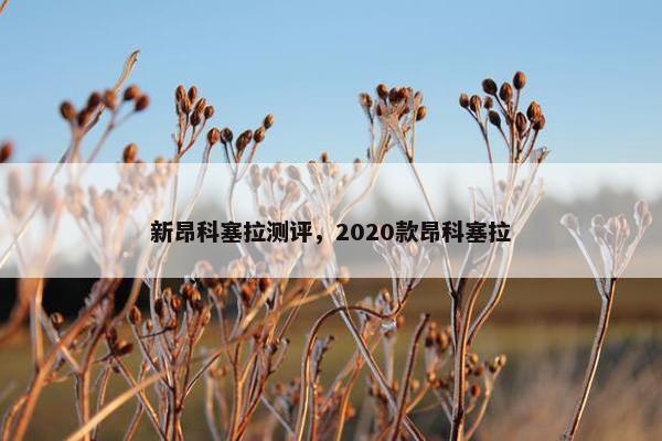 新昂科塞拉测评，2020款昂科塞拉