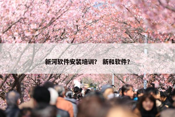 新河软件安装培训？ 新和软件？