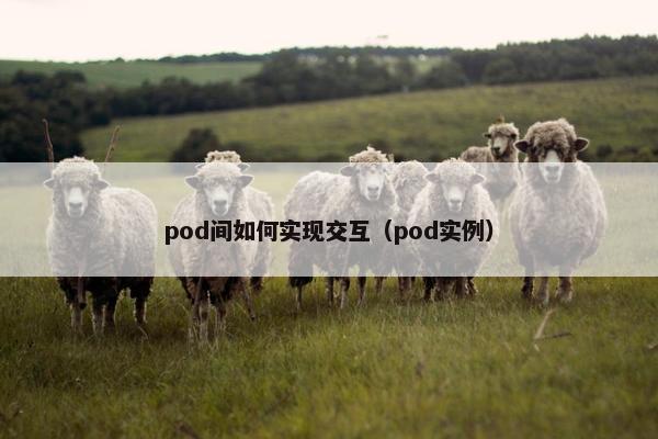 pod间如何实现交互（pod实例）