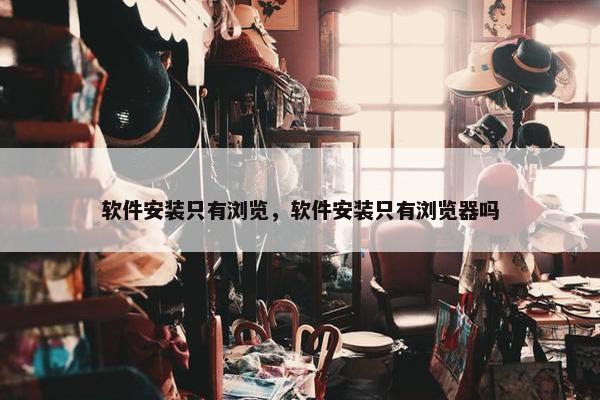 软件安装只有浏览，软件安装只有浏览器吗