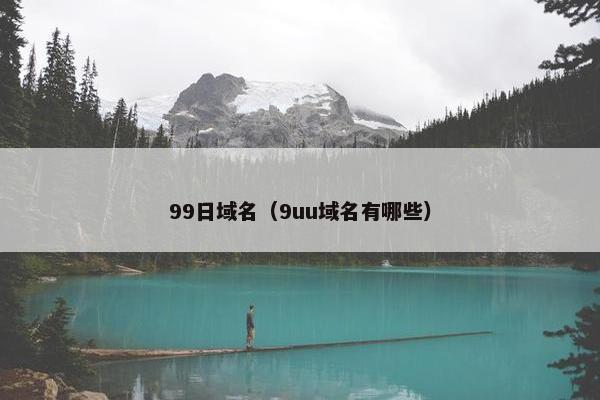 99日域名（9uu域名有哪些）