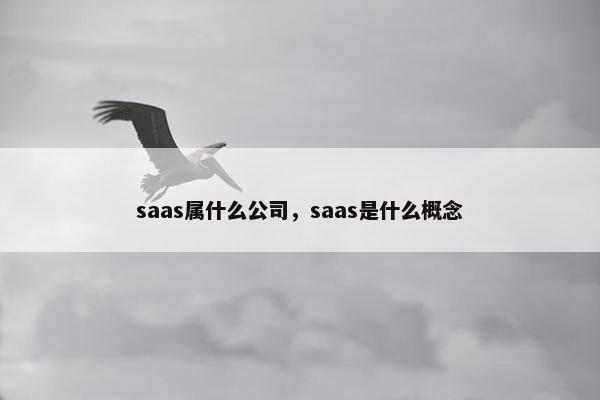 saas属什么公司，saas是什么概念