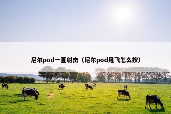 尼尔pod一直射击（尼尔pod甩飞怎么按）