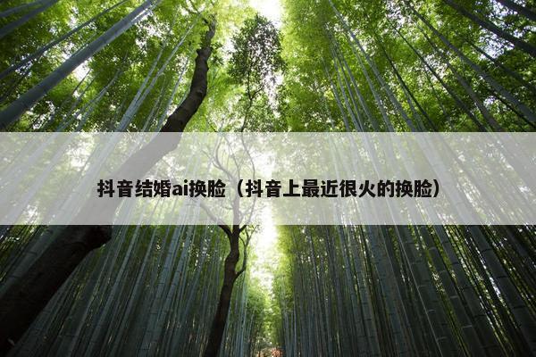 抖音结婚ai换脸（抖音上最近很火的换脸）