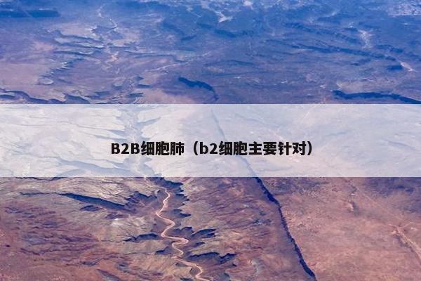 B2B细胞肺（b2细胞主要针对）