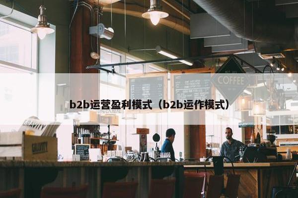 b2b运营盈利模式（b2b运作模式）