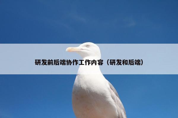 研发前后端协作工作内容（研发和后端）