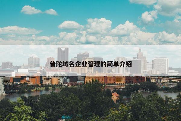 普陀域名企业管理的简单介绍