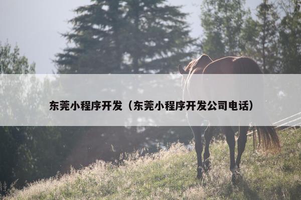 东莞小程序开发（东莞小程序开发公司电话）