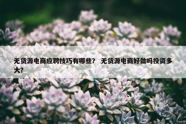 无货源电商应聘技巧有哪些？ 无货源电商好做吗投资多大？