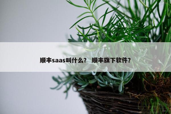 顺丰saas叫什么？ 顺丰旗下软件？