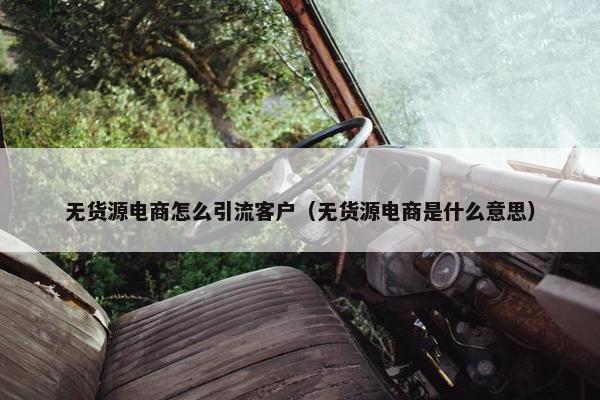 无货源电商怎么引流客户（无货源电商是什么意思）