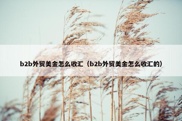 b2b外贸美金怎么收汇（b2b外贸美金怎么收汇的）