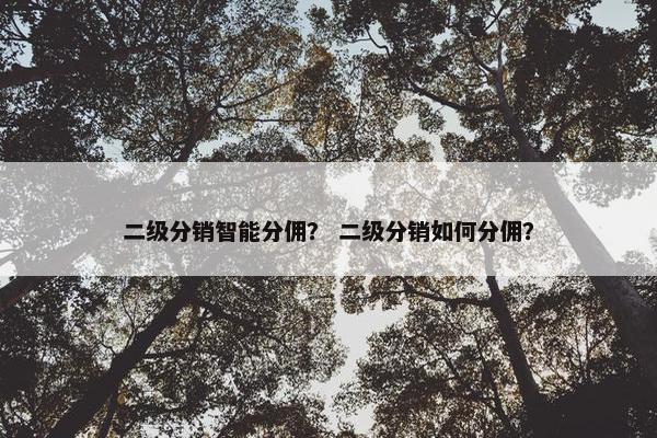 二级分销智能分佣？ 二级分销如何分佣？