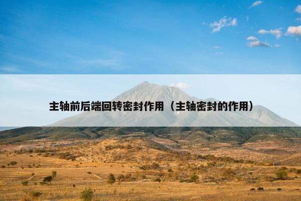 主轴前后端回转密封作用（主轴密封的作用）