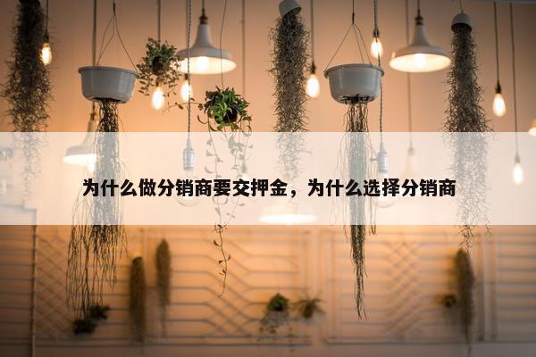 为什么做分销商要交押金，为什么选择分销商