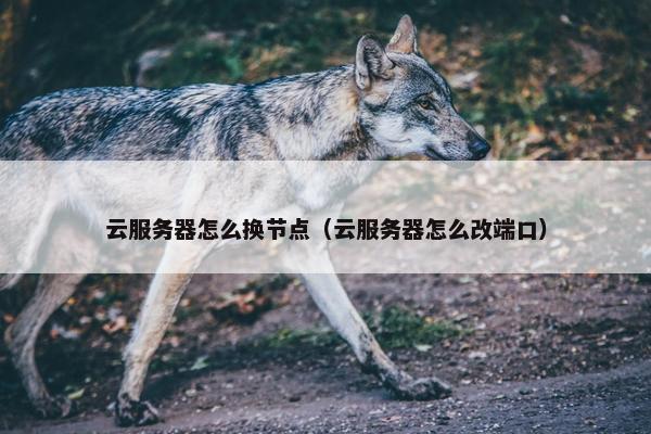 云服务器怎么换节点（云服务器怎么改端口）