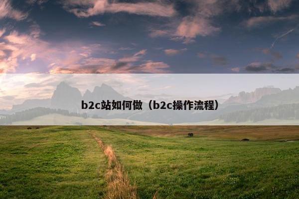 b2c站如何做（b2c操作流程）