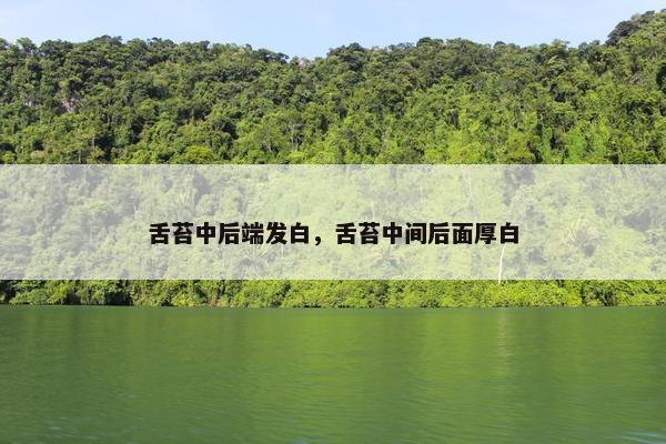 舌苔中后端发白，舌苔中间后面厚白