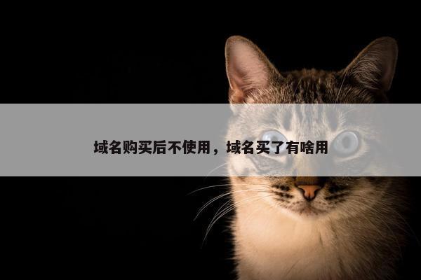 域名购买后不使用，域名买了有啥用