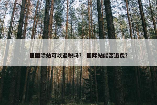 里国际站可以退税吗？ 国际站能否退费？